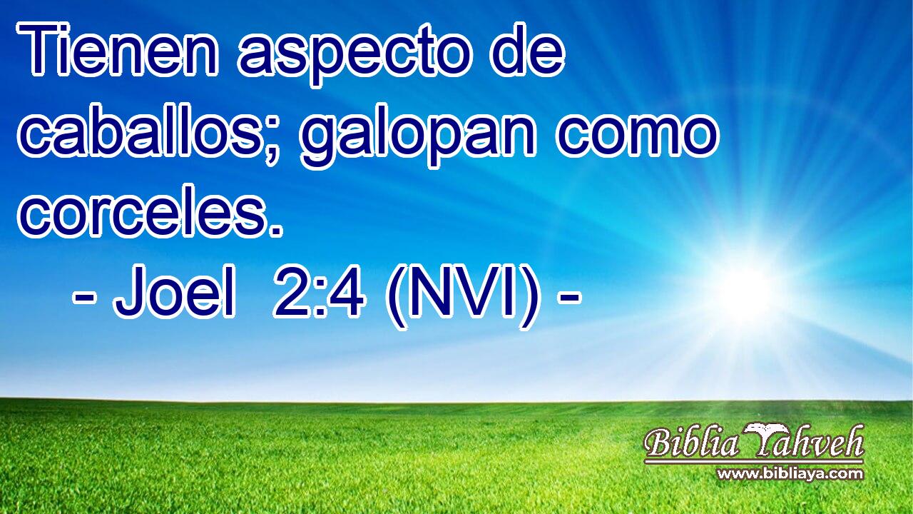  Tienen aspecto de caballos; galopan como corceles. 