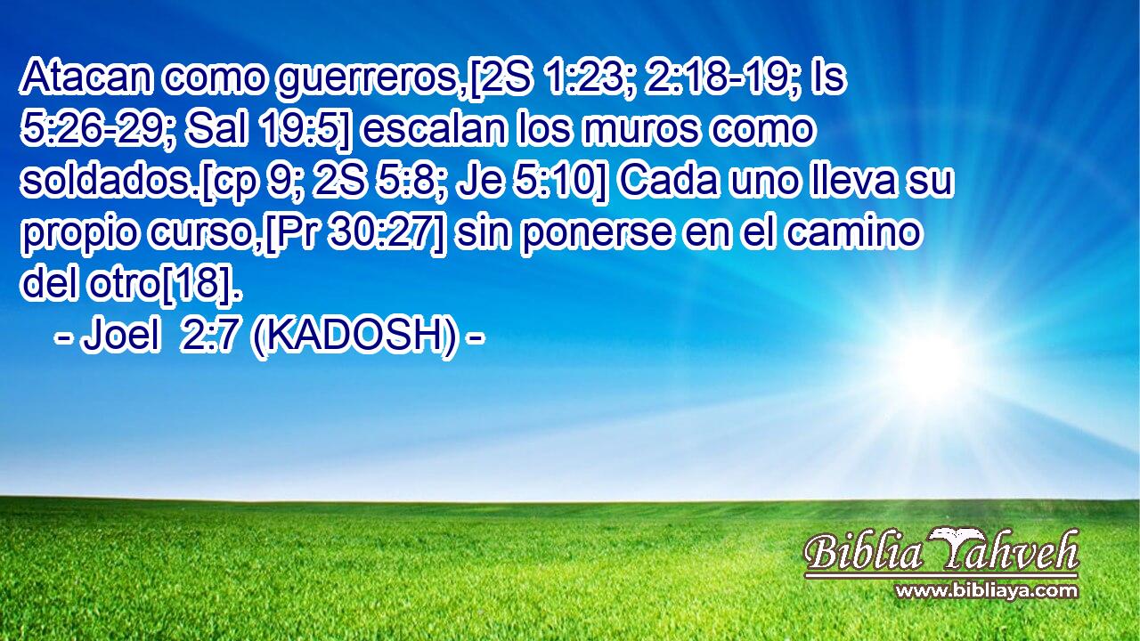  Atacan como guerreros,[2S 1:23; 2:18-19; Is 5:26-29; Sal 19:5] escalan los muros como soldados.[cp 9; 2S 5:8; Je 5:10] Cada uno lleva su propio curso,[Pr 30:27] sin ponerse en el camino del otro[18]. 