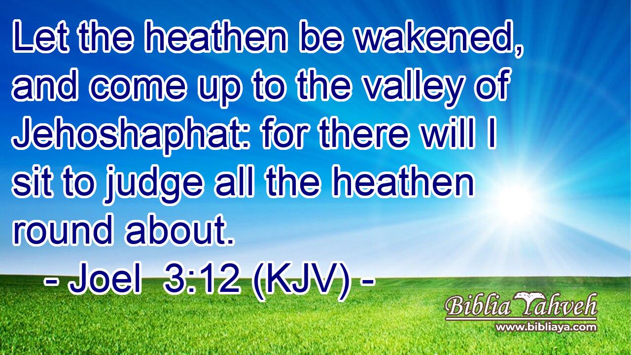 Let the heathen be wakened, and come up to the valley of Jehoshaphat: for there will I sit to judge all the heathen round about.