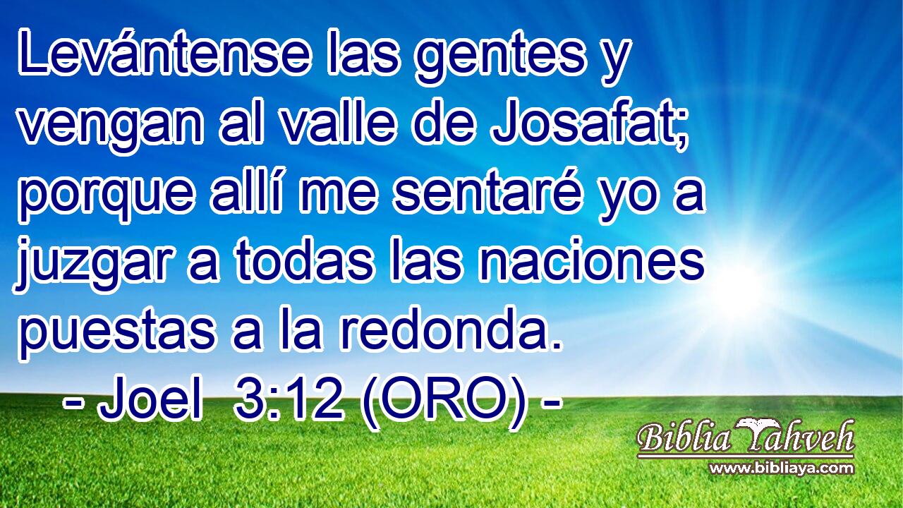 Levántense las gentes y vengan al valle de Josafat; porque allí me sentaré yo a juzgar a todas las naciones puestas a la redonda. 