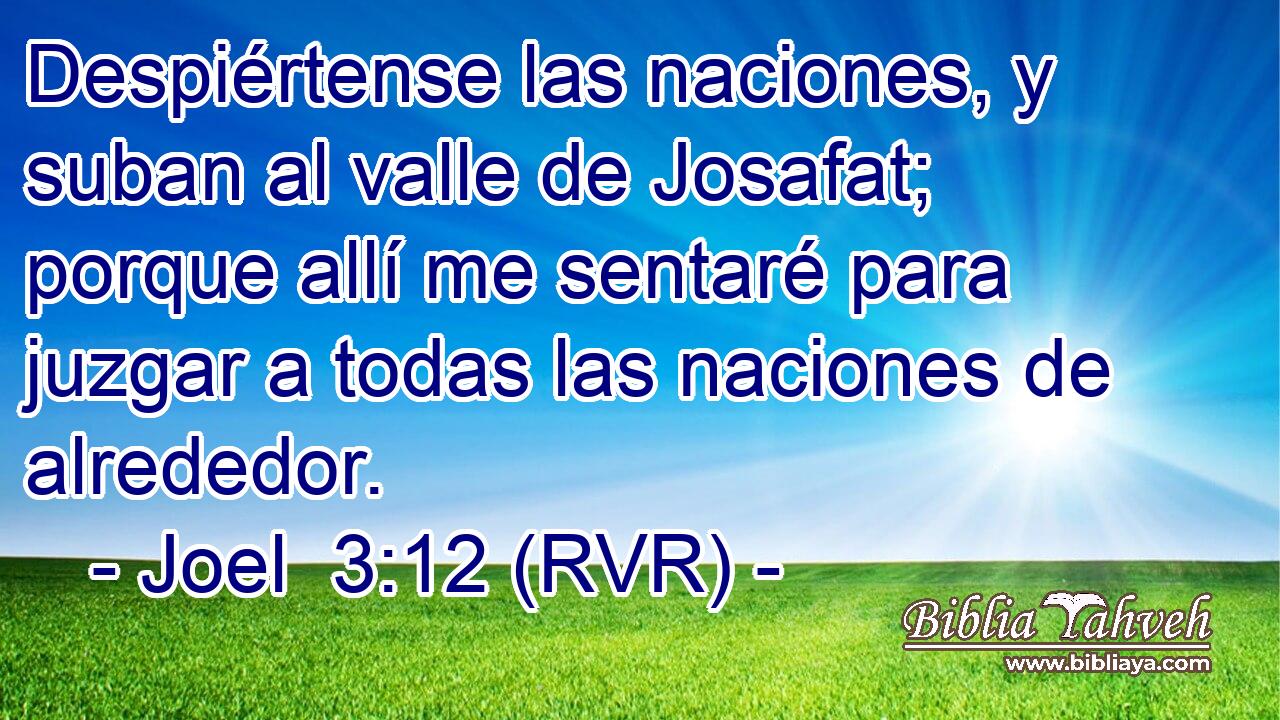 Despiértense las naciones, y suban al valle de Josafat; porque allí me sentaré para juzgar a todas las naciones de alrededor.