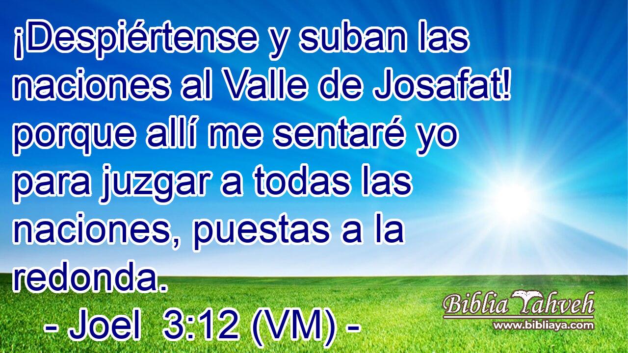  ¡Despiértense y suban las naciones al Valle de Josafat! porque allí me sentaré yo para juzgar a todas las naciones, puestas a la redonda. 