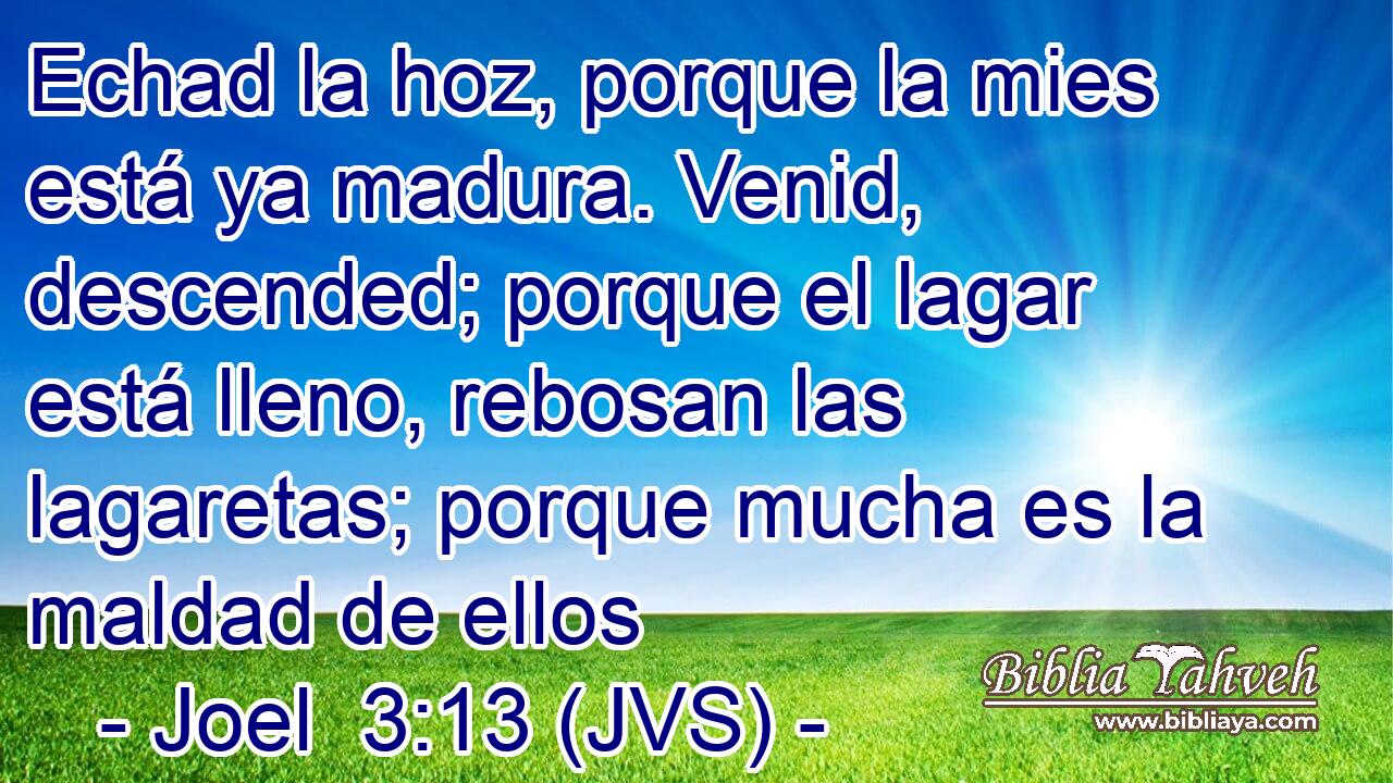 Echad la hoz, porque la mies está ya madura. Venid, descended; porque el lagar está lleno, rebosan las lagaretas; porque mucha es la maldad de ellos