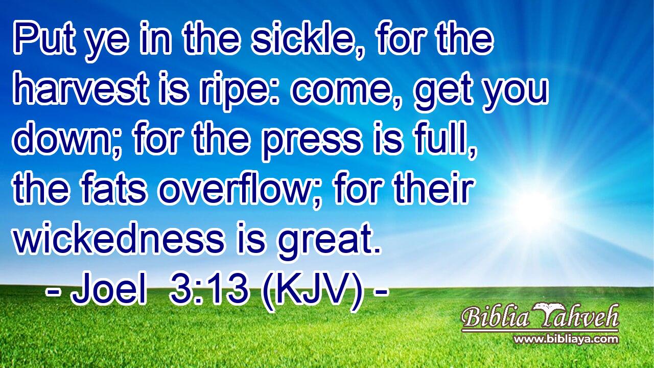 Put ye in the sickle, for the harvest is ripe: come, get you down; for the press is full, the fats overflow; for their wickedness is great.