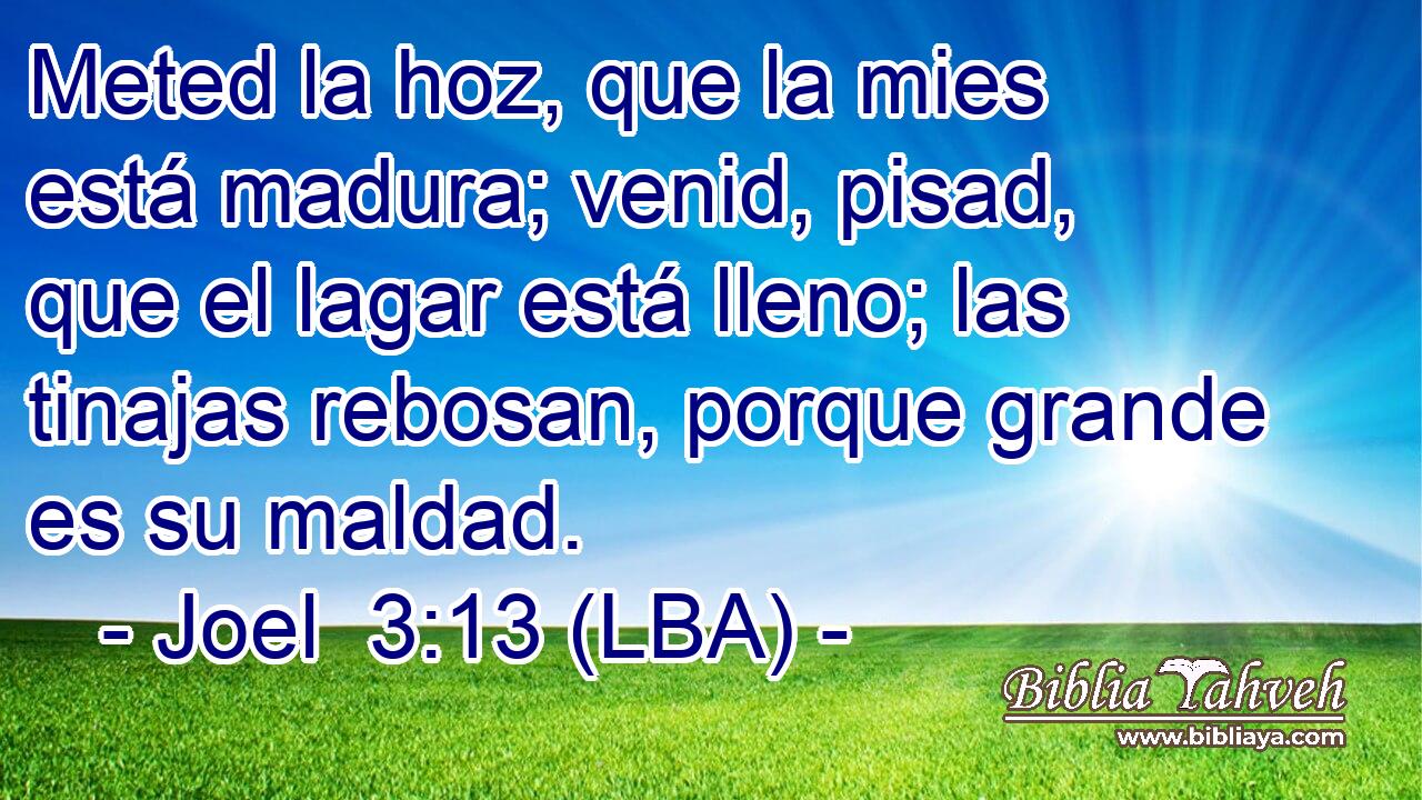 Meted la hoz, que la mies está madura; venid, pisad, que el lagar está lleno; las tinajas rebosan, porque grande es su maldad.