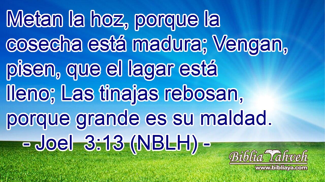  Metan la hoz, porque la cosecha está madura; Vengan, pisen, que el lagar está lleno; Las tinajas rebosan, porque grande es su maldad. 