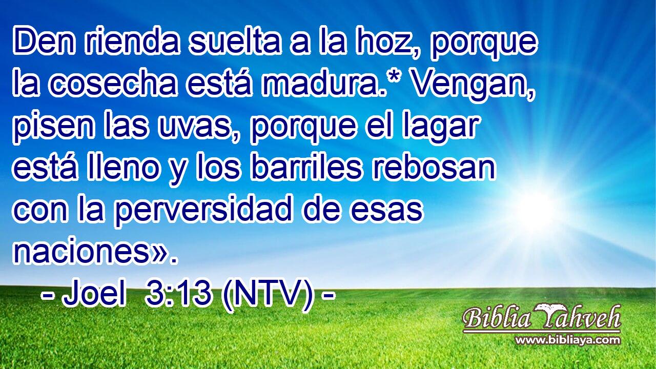 Den rienda suelta a la hoz, porque la cosecha está madura.* Vengan, pisen las uvas, porque el lagar está lleno y los barriles rebosan con la perversidad de esas naciones».