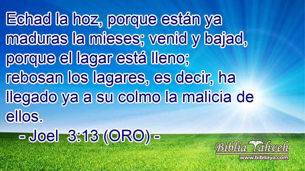  Echad la hoz, porque están ya maduras la mieses; venid y bajad, porque el lagar está lleno; rebosan los lagares, es decir, ha llegado ya a su colmo la malicia de ellos. 