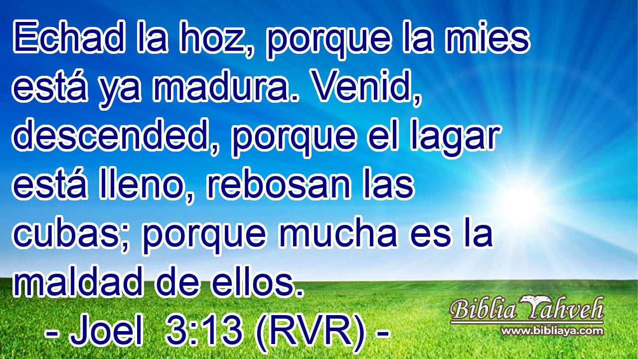 Echad la hoz, porque la mies está ya madura. Venid, descended, porque el lagar está lleno, rebosan las cubas; porque mucha es la maldad de ellos.