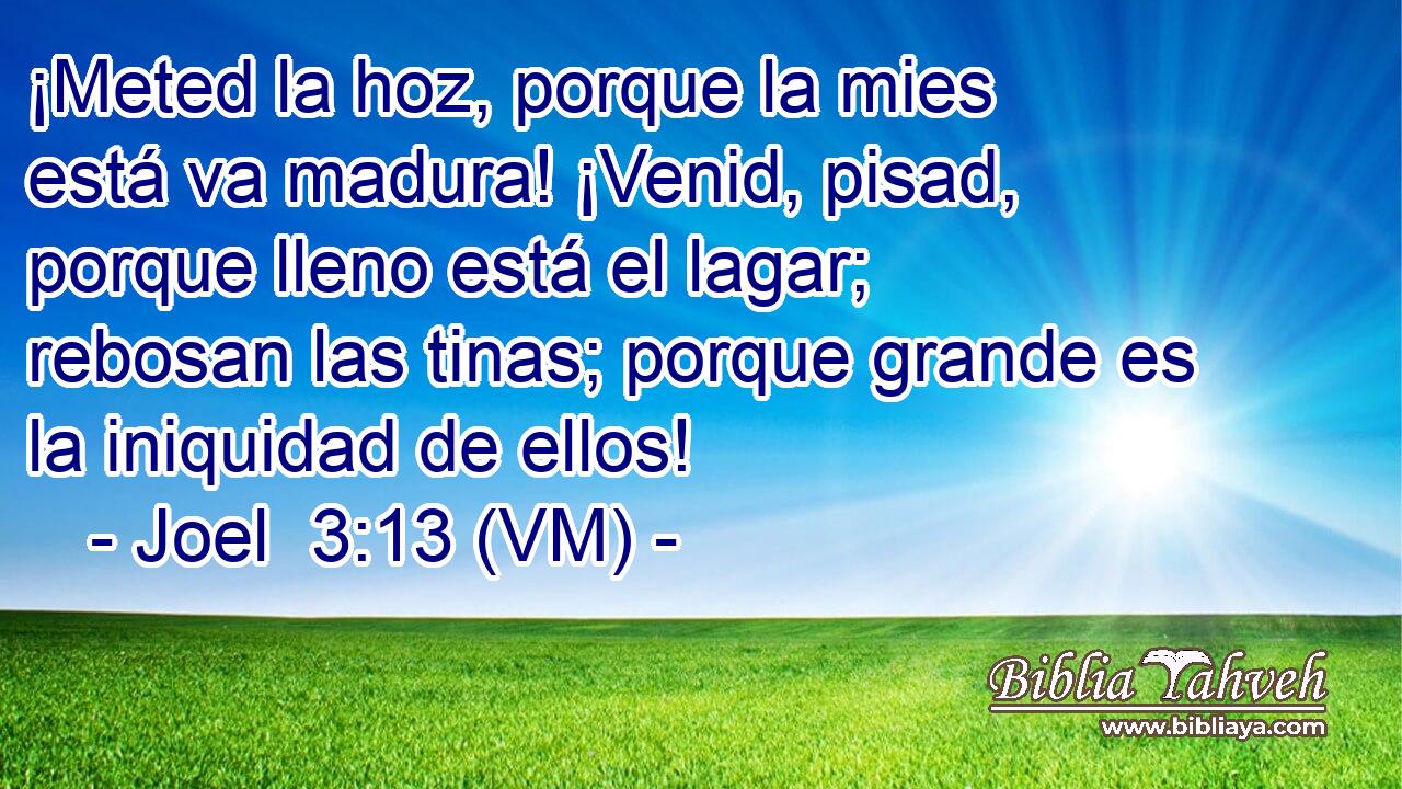  ¡Meted la hoz, porque la mies está va madura! ¡Venid, pisad, porque lleno está el lagar; rebosan las tinas; porque grande es la iniquidad de ellos! 
