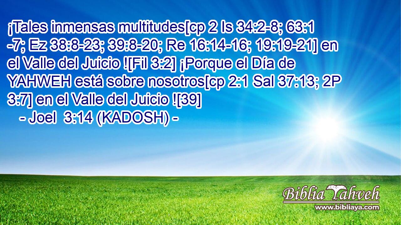 ¡Tales inmensas multitudes[cp 2 Is 34:2-8; 63:1 -7; Ez 38:8-23; 39:8-20; Re 16:14-16; 19:19-21] en el Valle del Juicio ![Fil 3:2] ¡Porque el Día de YAHWEH está sobre nosotros[cp 2:1 Sal 37:13; 2P 3:7] en el Valle del Juicio ![39] 