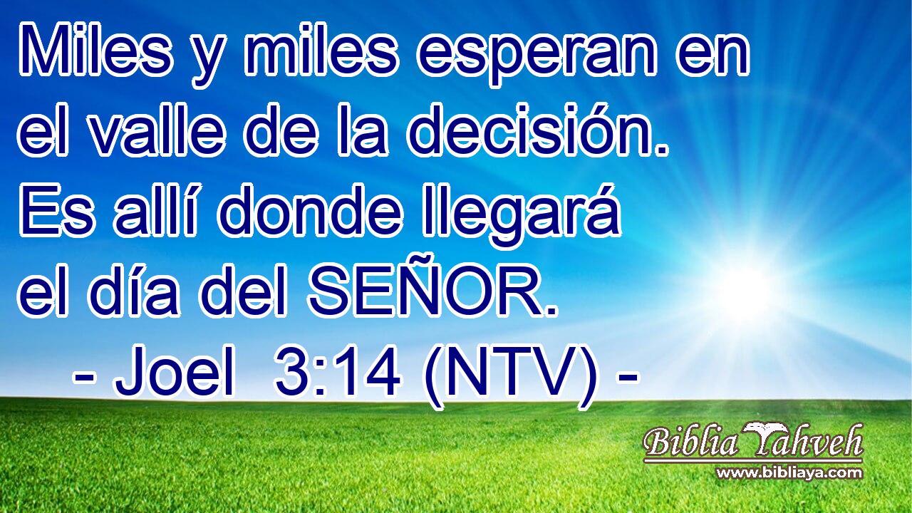 Miles y miles esperan en el valle de la decisión. Es allí donde llegará el día del SEÑOR.