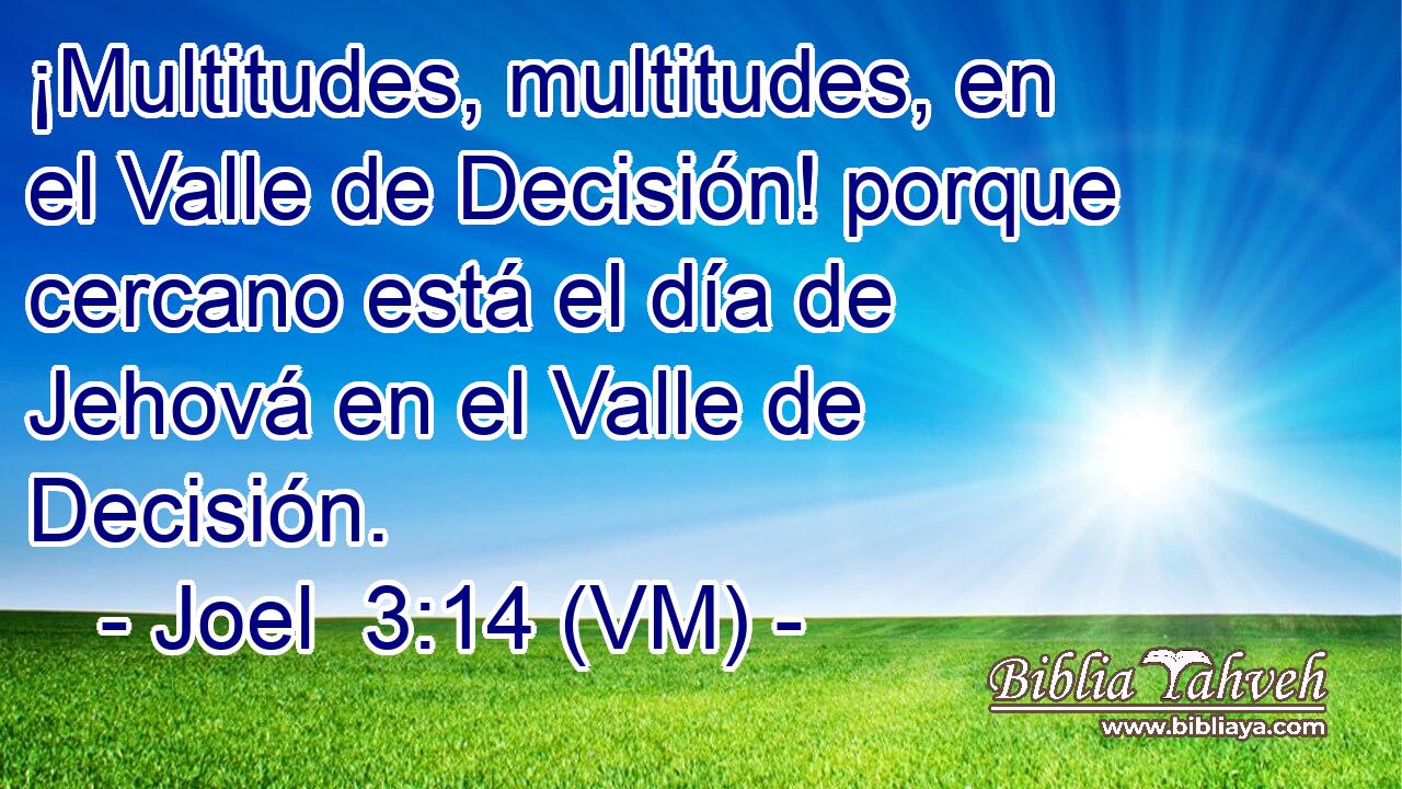  ¡Multitudes, multitudes, en el Valle de Decisión! porque cercano está el día de Jehová en el Valle de Decisión. 