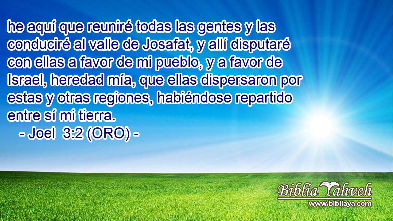  he aquí que reuniré todas las gentes y las conduciré al valle de Josafat, y allí disputaré con ellas a favor de mi pueblo, y a favor de Israel, heredad mía, que ellas dispersaron por estas y otras regiones, habiéndose repartido entre sí mi tierra. 