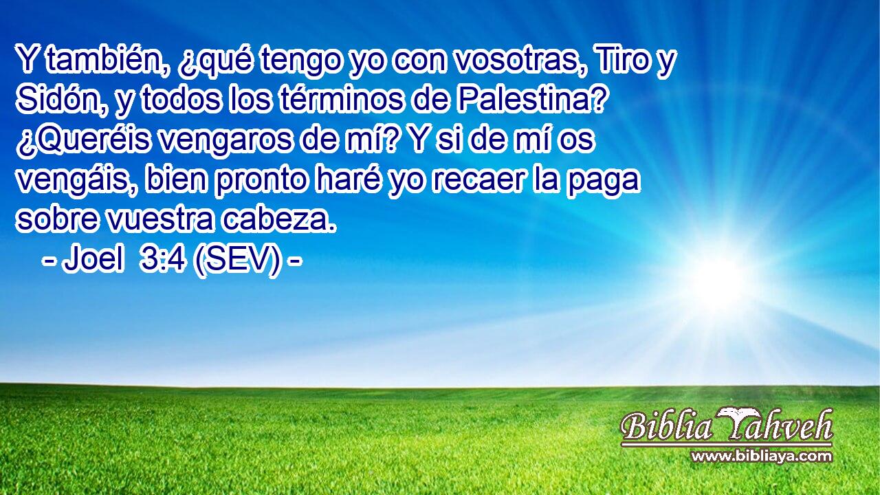 Y también, ¿qué tengo yo con vosotras, Tiro y Sidón, y todos los términos de Palestina? ¿Queréis vengaros de mí? Y si de mí os vengáis, bien pronto haré yo recaer la paga sobre vuestra cabeza.