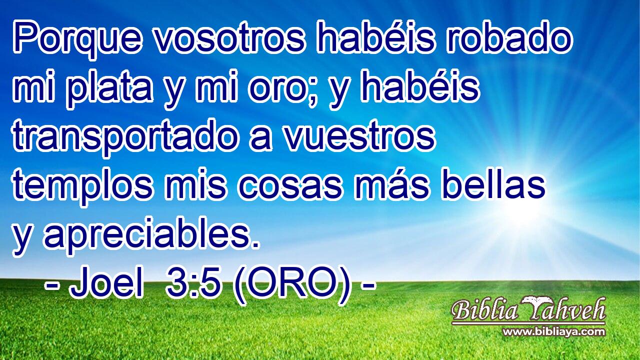  Porque vosotros habéis robado mi plata y mi oro; y habéis transportado a vuestros templos mis cosas más bellas y apreciables. 