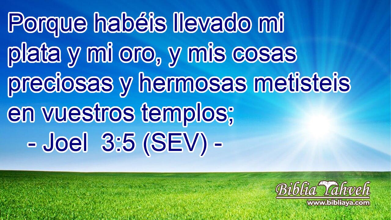 Porque habéis llevado mi plata y mi oro, y mis cosas preciosas y hermosas metisteis en vuestros templos;