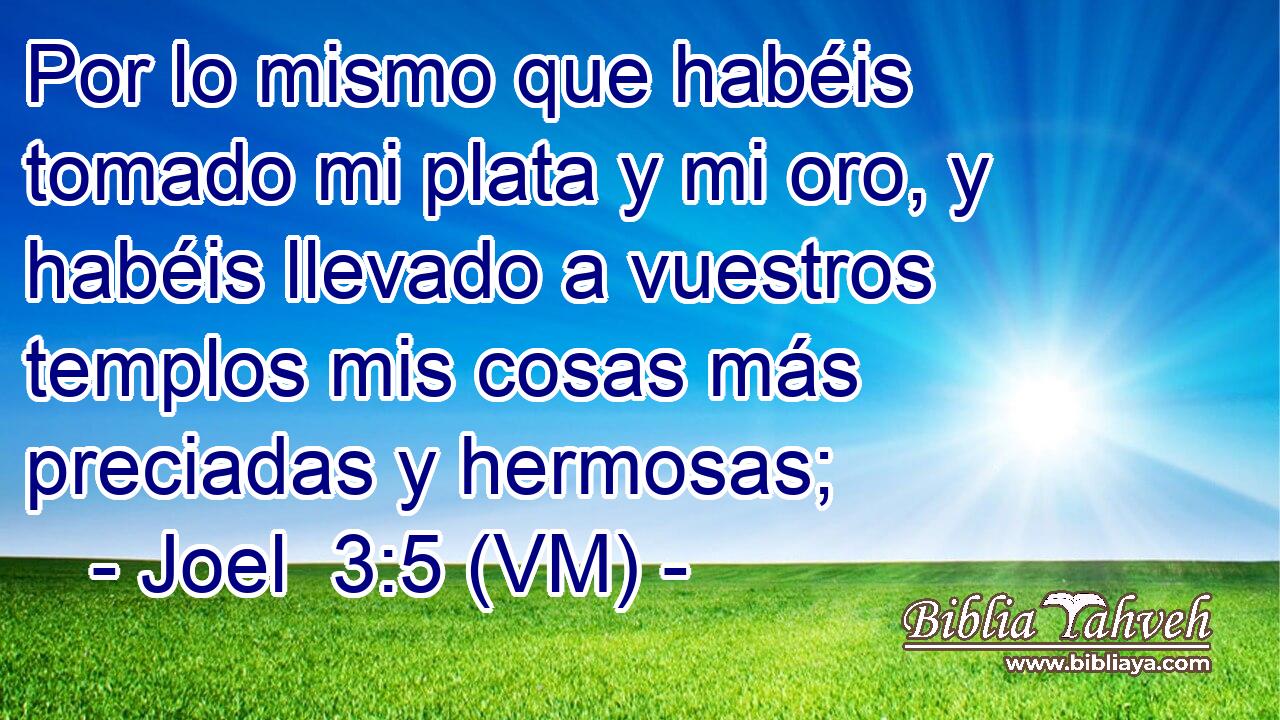  Por lo mismo que habéis tomado mi plata y mi oro, y habéis llevado a vuestros templos mis cosas más preciadas y hermosas; 
