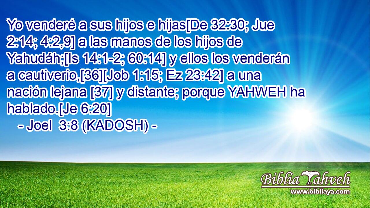  Yo venderé a sus hijos e hijas[De 32:30; Jue 2:14; 4:2,9] a las manos de los hijos de Yahudáh;[Is 14:1-2; 60:14] y ellos los venderán a cautiverio,[36][Job 1:15; Ez 23:42] a una nación lejana [37] y distante; porque YAHWEH ha hablado.[Je 6:20] 