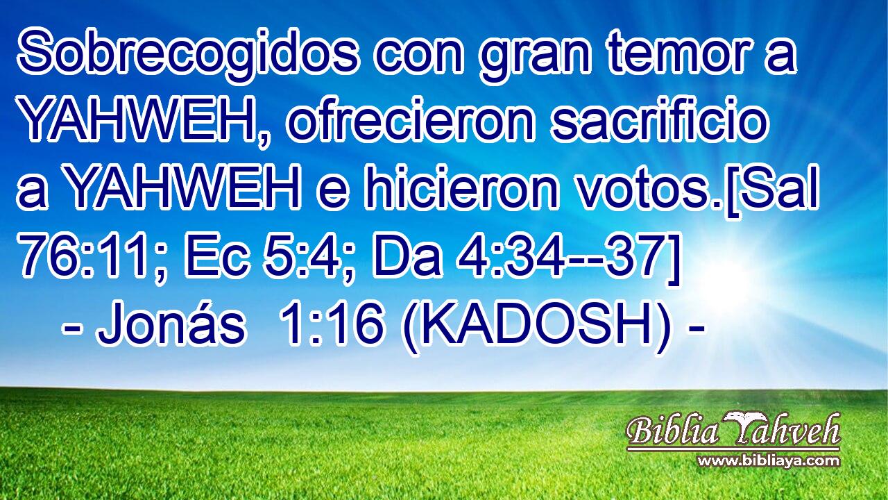  Sobrecogidos con gran temor a YAHWEH, ofrecieron sacrificio a YAHWEH e hicieron votos.[Sal 76:11; Ec 5:4; Da 4:34--37] 