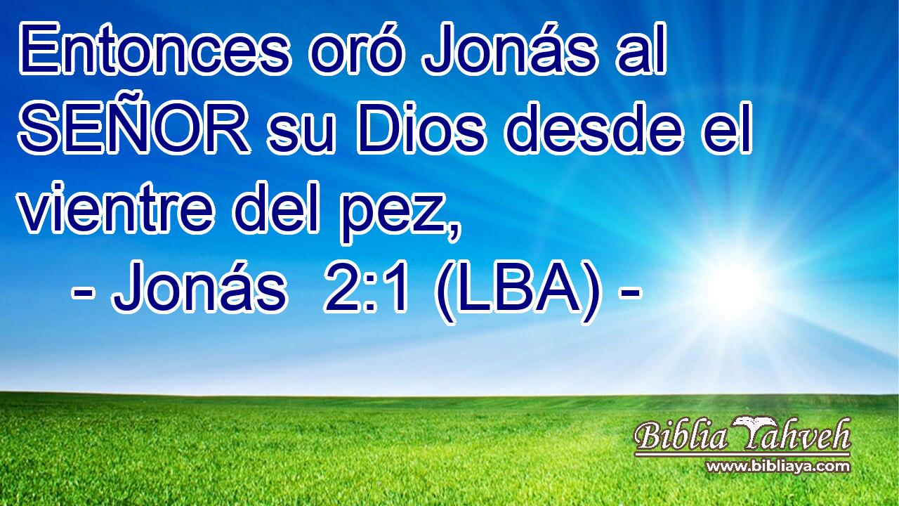 Entonces oró Jonás al SEÑOR su Dios desde el vientre del pez,