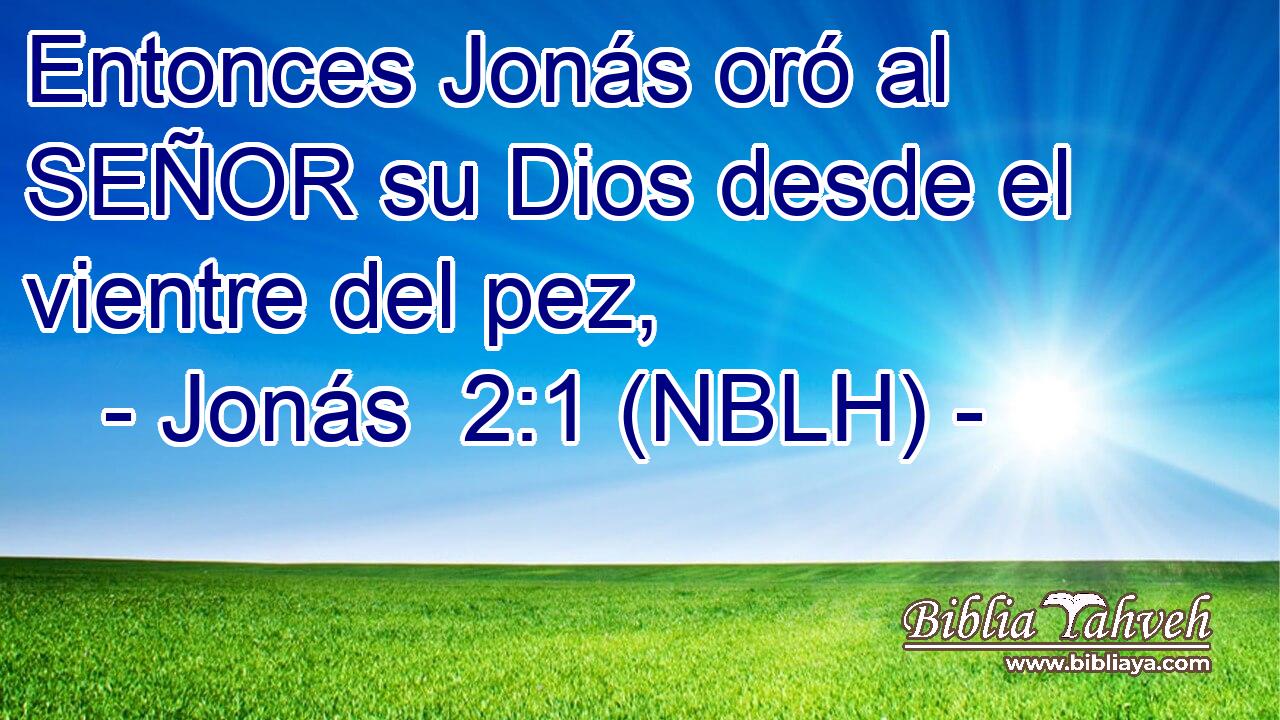  Entonces Jonás oró al SEÑOR su Dios desde el vientre del pez, 