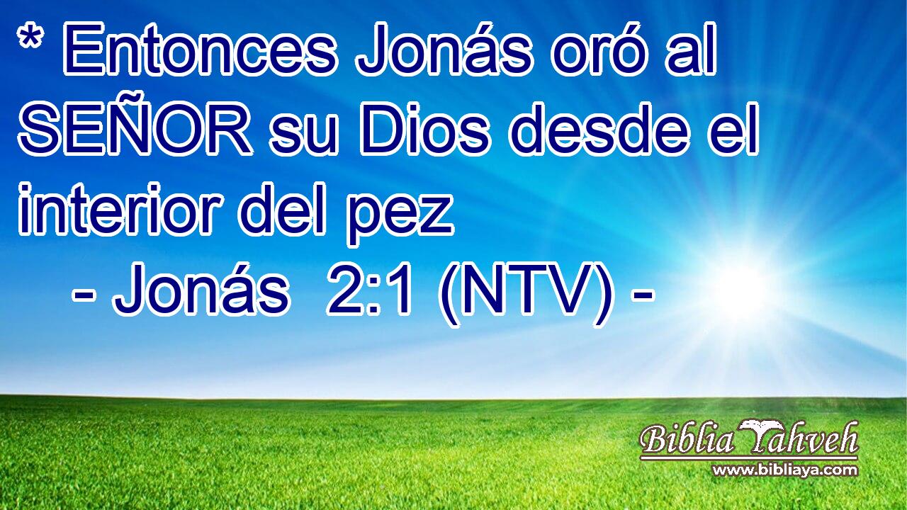 * Entonces Jonás oró al SEÑOR su Dios desde el interior del pez
