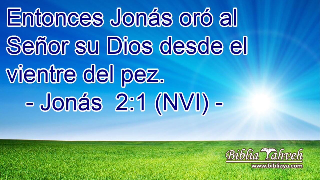  Entonces Jonás oró al Señor su Dios desde el vientre del pez. 