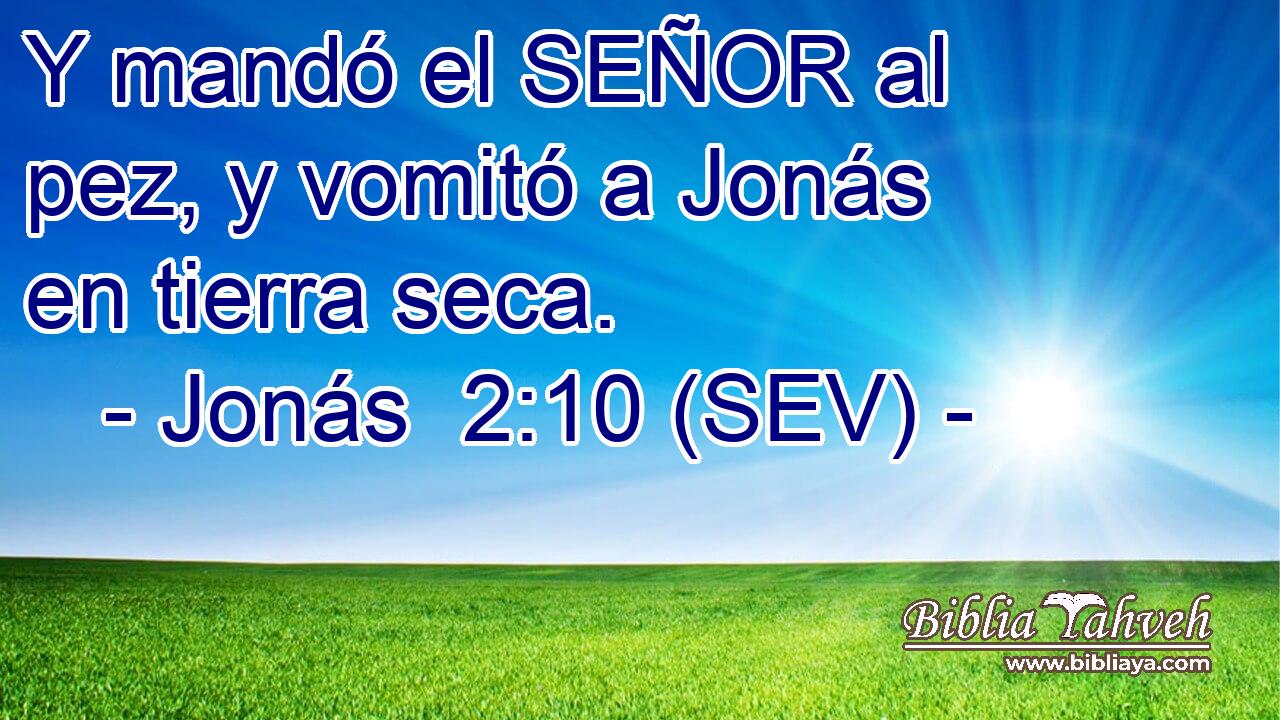 Y mandó el SEÑOR al pez, y vomitó a Jonás en tierra seca.