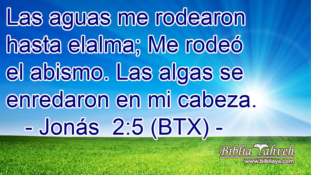 Las aguas me rodearon hasta elalma; Me rodeó el abismo. Las algas se enredaron en mi cabeza.