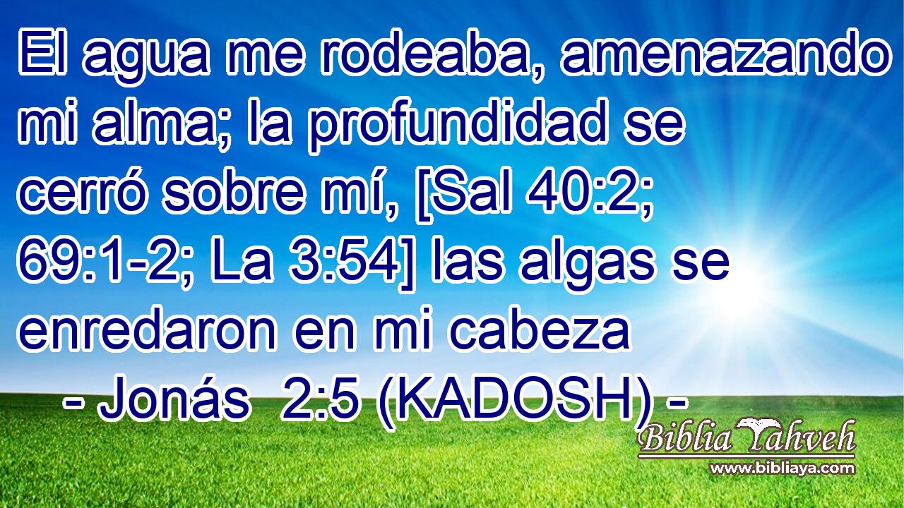  El agua me rodeaba, amenazando mi alma; la profundidad se cerró sobre mí, [Sal 40:2; 69:1-2; La 3:54] las algas se enredaron en mi cabeza 