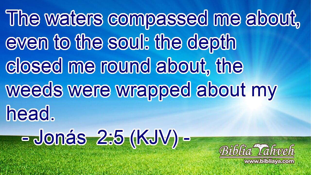 The waters compassed me about, even to the soul: the depth closed me round about, the weeds were wrapped about my head.