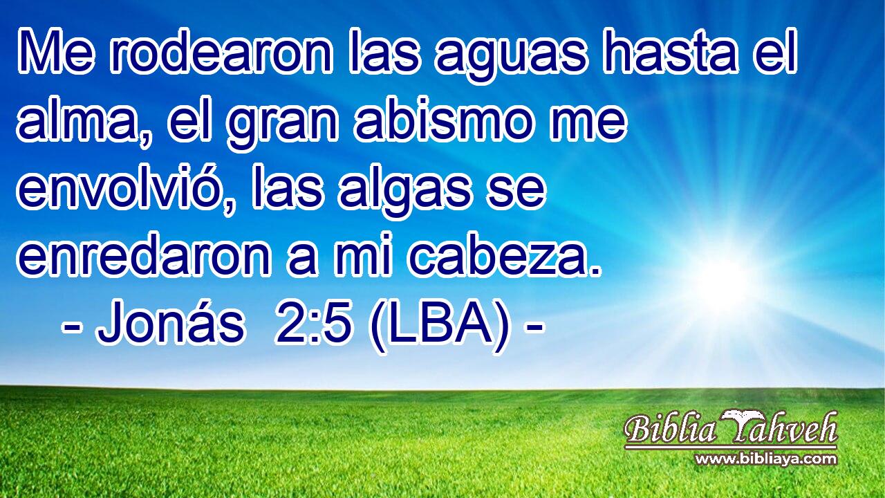 Me rodearon las aguas hasta el alma, el gran abismo me envolvió, las algas se enredaron a mi cabeza.