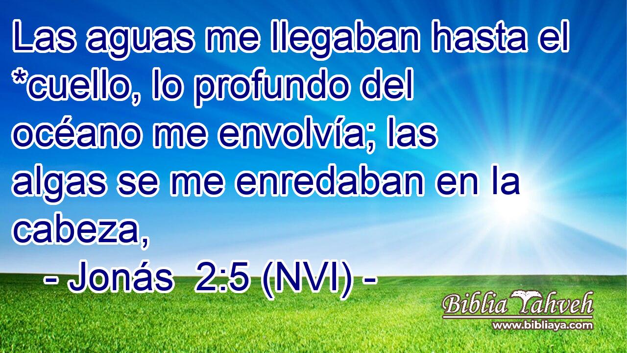  Las aguas me llegaban hasta el *cuello, lo profundo del océano me envolvía; las algas se me enredaban en la cabeza, 