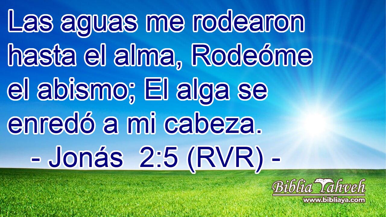 Las aguas me rodearon hasta el alma, Rodeóme el abismo; El alga se enredó a mi cabeza.