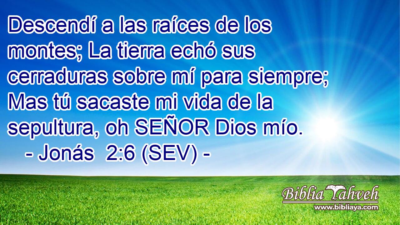 Descendí a las raíces de los montes; La tierra echó sus cerraduras sobre mí para siempre; Mas tú sacaste mi vida de la sepultura, oh SEÑOR Dios mío.