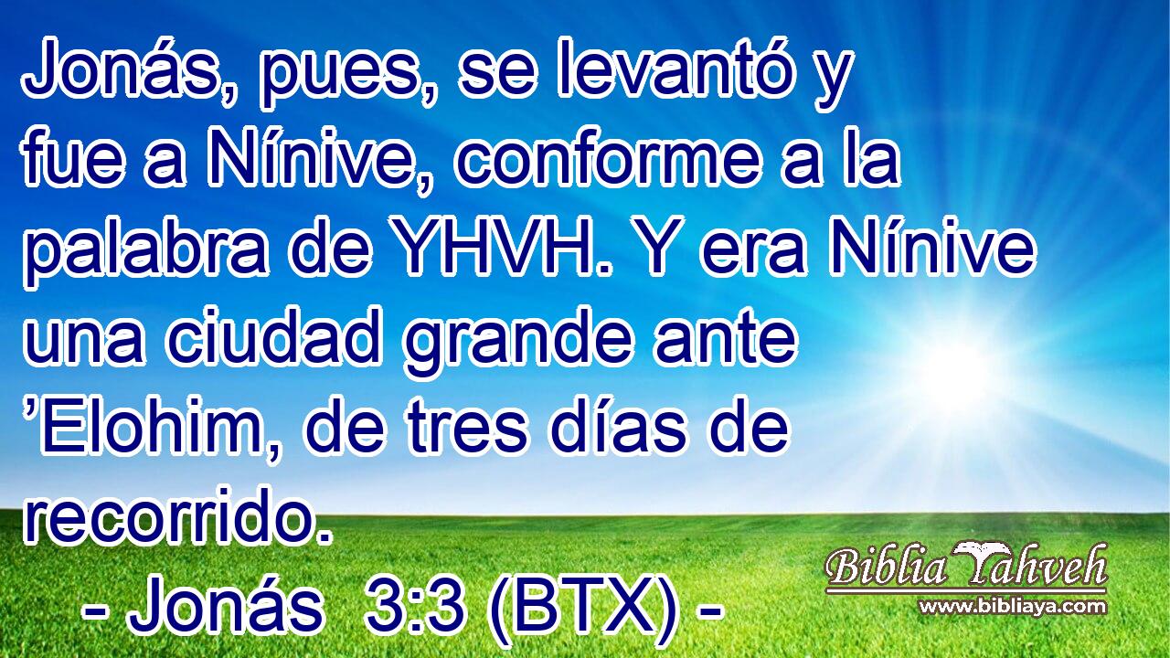 Jonás, pues, se levantó y fue a Nínive, conforme a la palabra de YHVH. Y era Nínive una ciudad grande ante ’Elohim, de tres días de recorrido.
