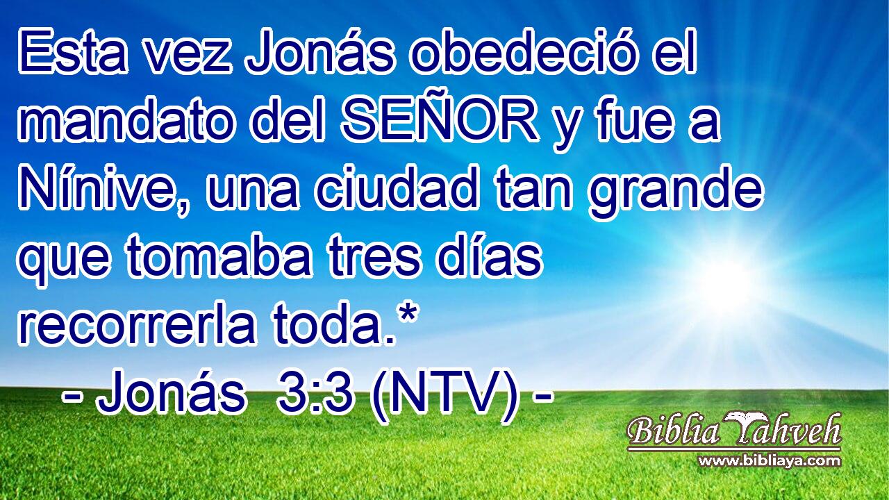 Esta vez Jonás obedeció el mandato del SEÑOR y fue a Nínive, una ciudad tan grande que tomaba tres días recorrerla toda.*