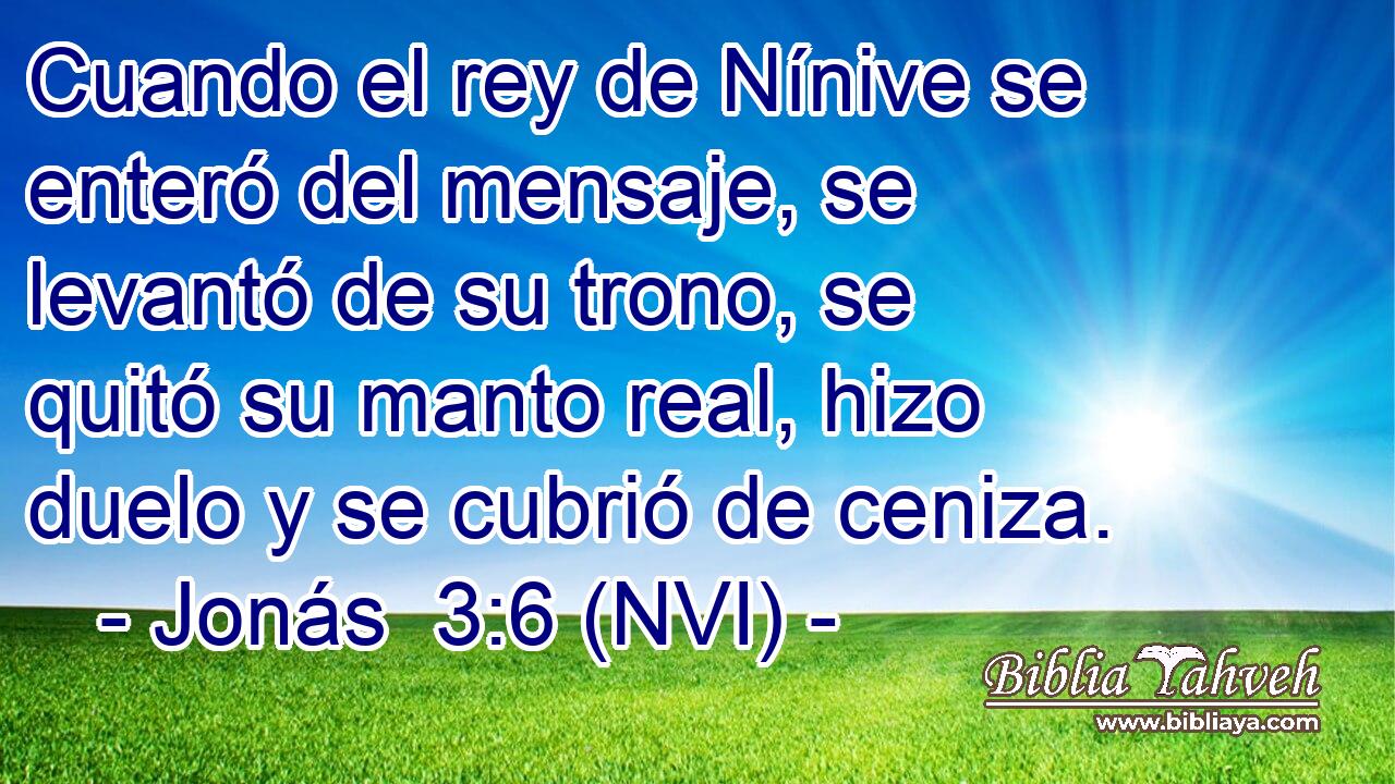  Cuando el rey de Nínive se enteró del mensaje, se levantó de su trono, se quitó su manto real, hizo duelo y se cubrió de ceniza. 