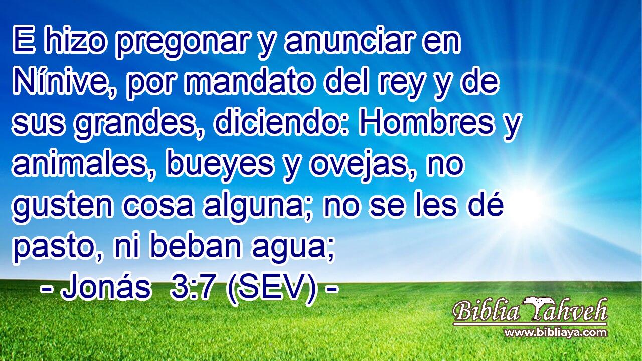 E hizo pregonar y anunciar en Nínive, por mandato del rey y de sus grandes, diciendo: Hombres y animales, bueyes y ovejas, no gusten cosa alguna; no se les dé pasto, ni beban agua;