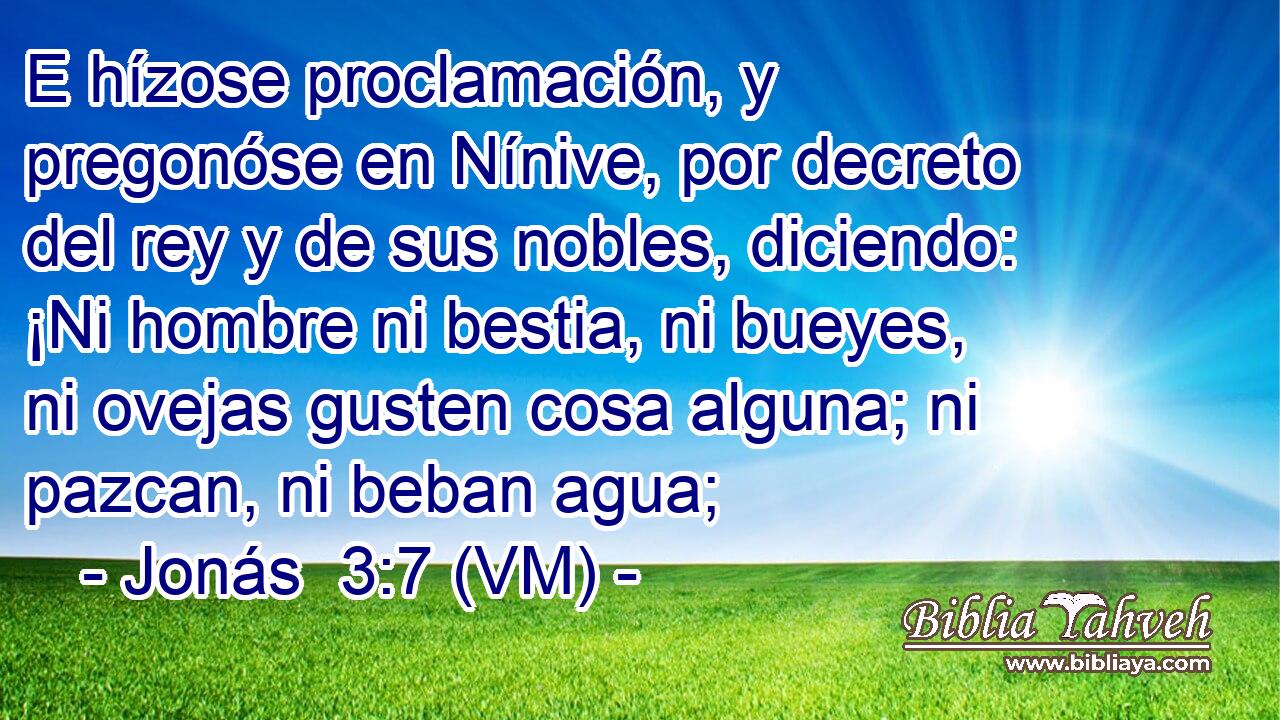  E hízose proclamación, y pregonóse en Nínive, por decreto del rey y de sus nobles, diciendo: ¡Ni hombre ni bestia, ni bueyes, ni ovejas gusten cosa alguna; ni pazcan, ni beban agua; 