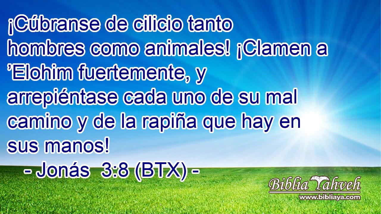 ¡Cúbranse de cilicio tanto hombres como animales! ¡Clamen a ’Elohim fuertemente, y arrepiéntase cada uno de su mal camino y de la rapiña que hay en sus manos!
