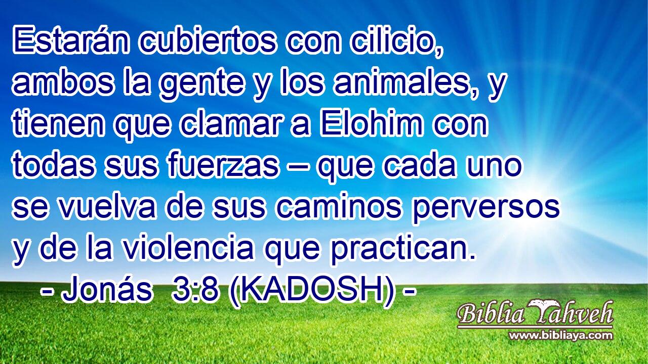  Estarán cubiertos con cilicio, ambos la gente y los animales, y tienen que clamar a Elohim con todas sus fuerzas – que cada uno se vuelva de sus caminos perversos y de la violencia que practican. 