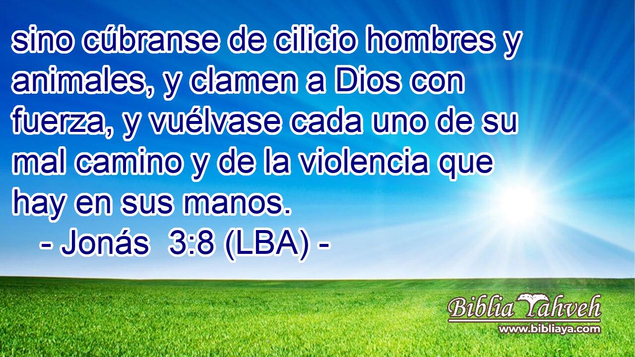 sino cúbranse de cilicio hombres y animales, y clamen a Dios con fuerza, y vuélvase cada uno de su mal camino y de la violencia que hay en sus manos.
