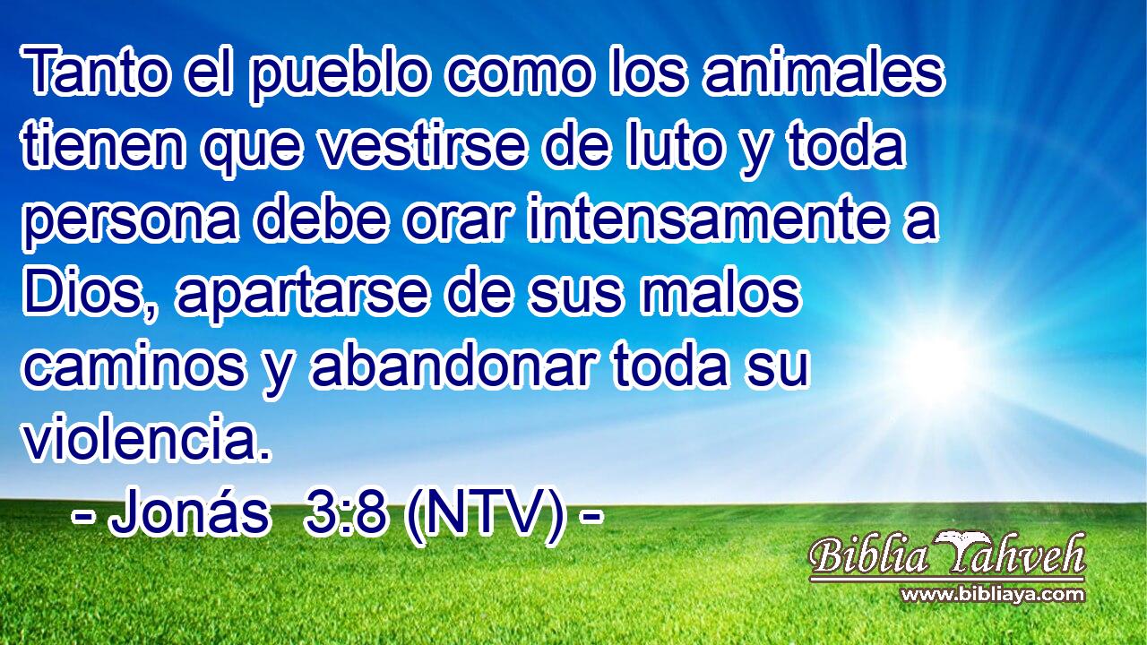 Tanto el pueblo como los animales tienen que vestirse de luto y toda persona debe orar intensamente a Dios, apartarse de sus malos caminos y abandonar toda su violencia.