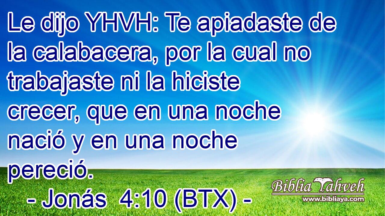 Le dijo YHVH: Te apiadaste de la calabacera, por la cual no trabajaste ni la hiciste crecer, que en una noche nació y en una noche pereció.