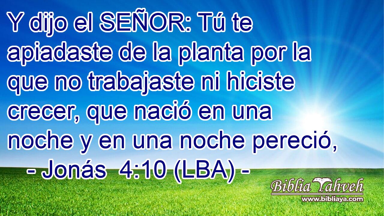 Y dijo el SEÑOR: Tú te apiadaste de la planta por la que no trabajaste ni hiciste crecer, que nació en una noche y en una noche pereció,
