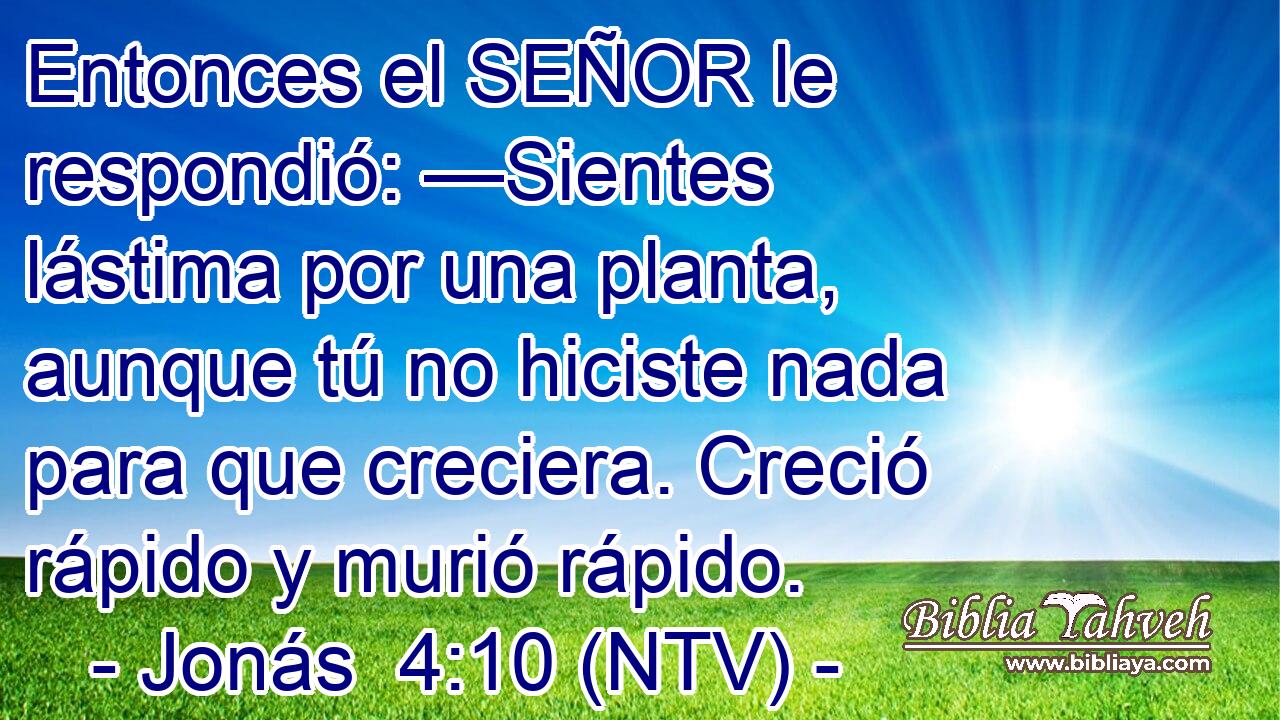 Entonces el SEÑOR le respondió: —Sientes lástima por una planta, aunque tú no hiciste nada para que creciera. Creció rápido y murió rápido.