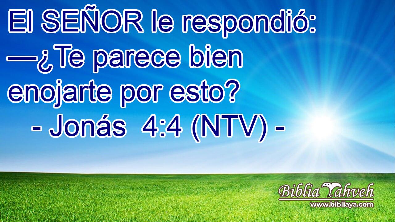 El SEÑOR le respondió: —¿Te parece bien enojarte por esto?