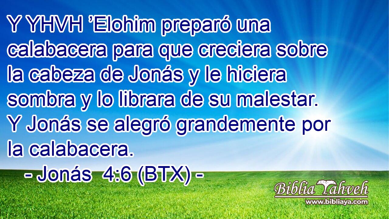 Y YHVH ’Elohim preparó una calabacera para que creciera sobre la cabeza de Jonás y le hiciera sombra y lo librara de su malestar. Y Jonás se alegró grandemente por la calabacera.